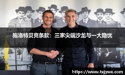 施洛特贝克条款：三家尖端沙龙与一大隐忧